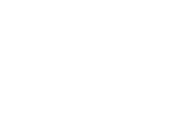 big logo alone White